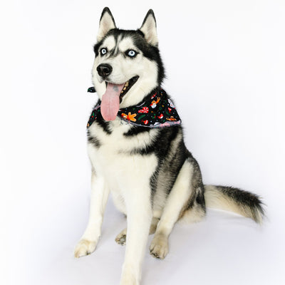 Enchanted Holiday Pet Bandana - Bam & Stitch